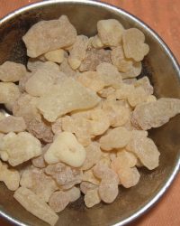 COPAL pur pot de 70gr